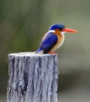 a me piaciono le foto a colori...!