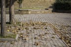 (Auto)Ritratto 5