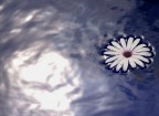 il sole dentro...