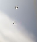 liberi di volare