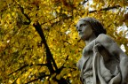 verr primavera