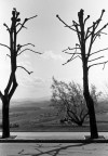 Quasi a primavera...