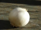 primo esperimento di macro con la H2..cos,cos ma l'importante  iniziare!
