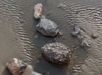 rocks?