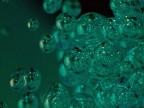 Bubbling thoughts