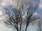 contro il cielo
