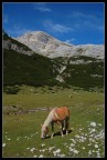 ricordando l'estate