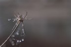 irraggiungibile