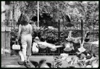 Per Mauroq... la donna dei piccioni