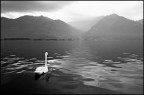 Verso la luce
