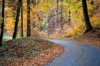 autunno