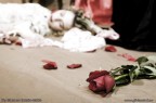 Decadent Rose