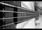 Basso #3
