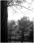 prove tecniche in corso .....
Foro stenopeico su lastra 4'x5' ilford Fp4 esposizione 2 min.