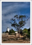 Faro