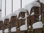 cuori di neve