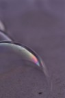 hanno imprigionato l'arcobaleno