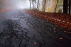 Crepe d'autunno