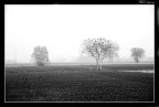 Silenzio...