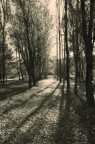 Autunno