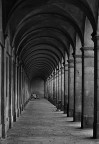 Linee e curve