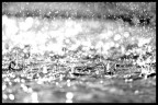 the rain