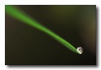 goccia cometa