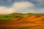 toscana