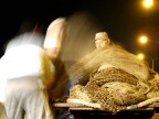 Pescatori al lavoro