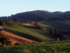 Non saranno quelle toscane ma io le adoro e le posto appena posso.