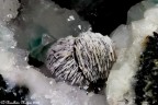 Barite