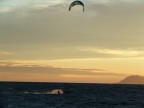 giornata fredda e ventosa, ma gli irriducibili del mare non mancano mai