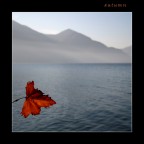 momenti d'autunno 2