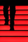Scale