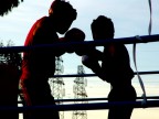 boxer silouette