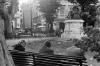 La panchina