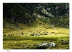 Malga colori