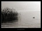 silence
