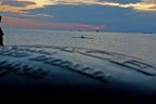 la punta del molo di triedte a luglio...appena scampatp il temporale....