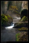 Nel bosco_4