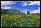 Palanfr, Parco Naturale delle Alpi Marittime, Cuneo. #5