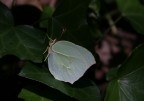 1/125
F/5,6
135mm
ISO-100