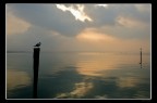 Garda Landscape