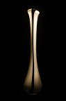 Vaso