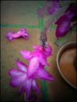Purple Rain