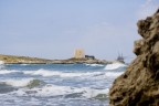 mare