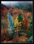 Autunno. La strada per la Sacra di San Michele, Avigliana, T