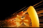Pasta e spighe