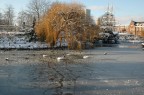 tra i giardini...di Tivol
