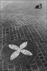 La bicicletta